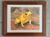 Stefan Moitzi - Pfeilgiftfrosch