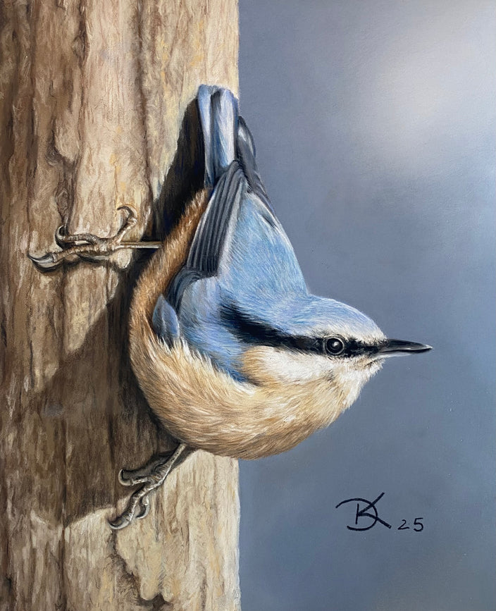 Doreen Kunst - Der Kleiber