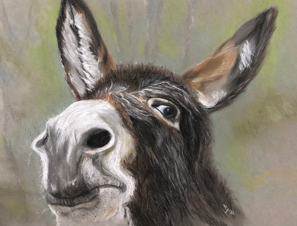 Michaela Velten - Darf ich mich vorstellen? Mein Name ist Anton...