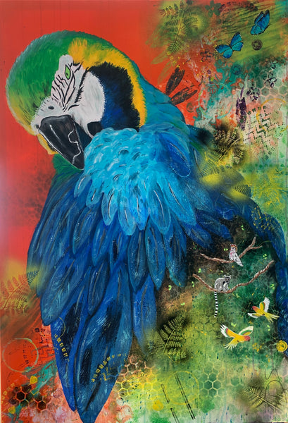 Diana Schwarz - Parrot