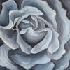 Sergej Botschmanowski - Rose in Grau