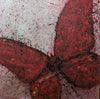 Smillya Dartsch - Im Fokus - Der Schmetterling