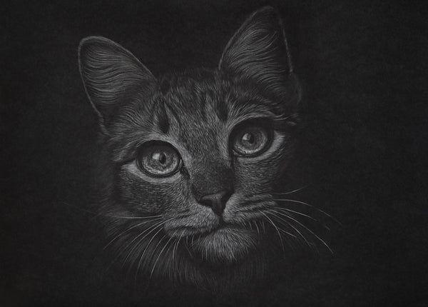 Bernhard Meixner - Katze