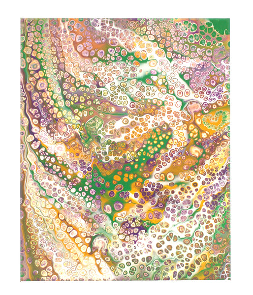 Rewo - Frühlingsbote - Farben des Krokus