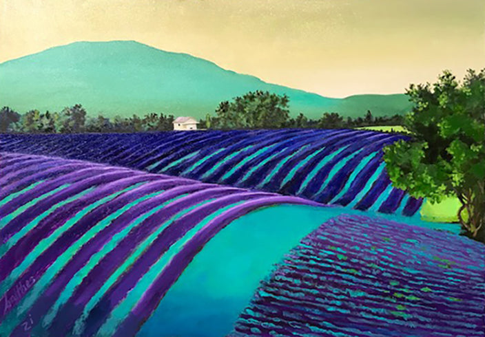 Heinz Balthes - Lavendelfeld in der Provence