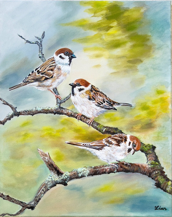 Li Zhou - Spatzentrio