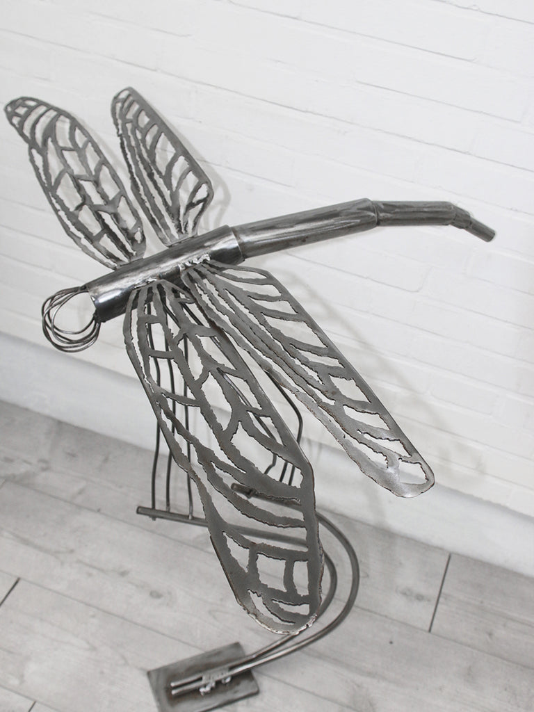 Janine Hartwig - Dragonfly