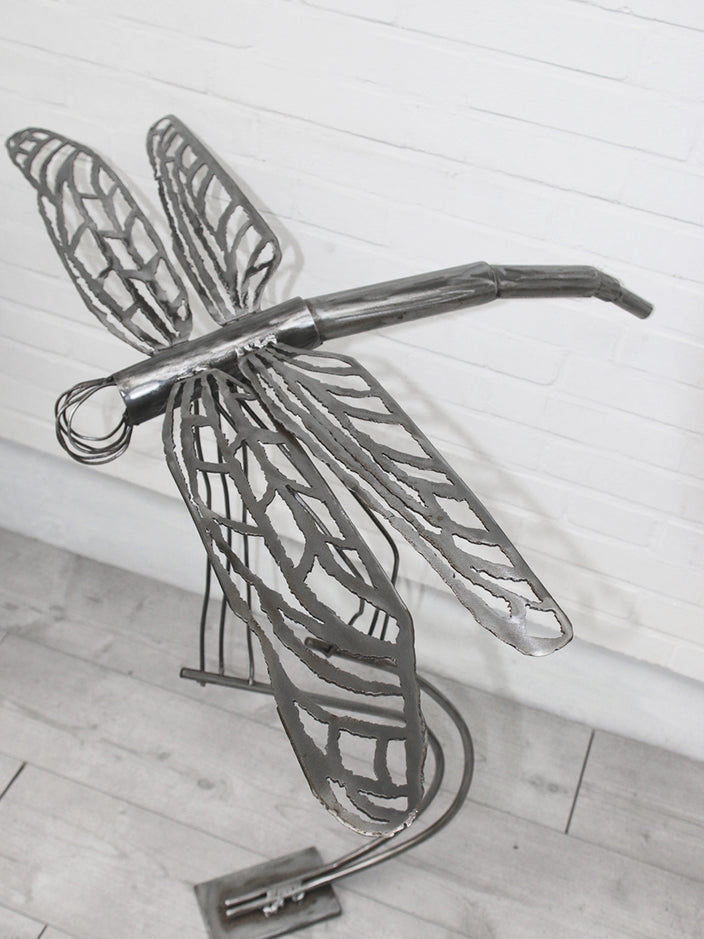 Janine Hartwig - Dragonfly