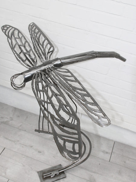 Janine Hartwig - Dragonfly
