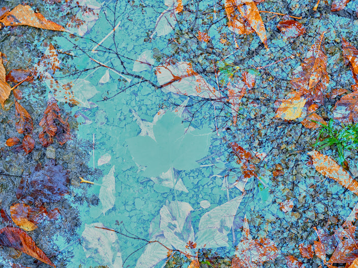 Romy Pfeifer - Magic Sky