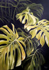 Renate Dohr - Monstera