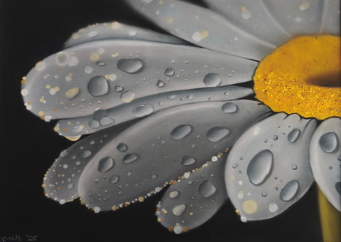 Katrin Prietz - Morgentau