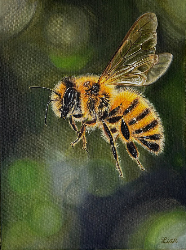 <div style='display:none;'>'</div>KUNST-ONLINE Club