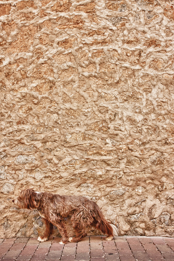 Hubert Wichelmann - On the way