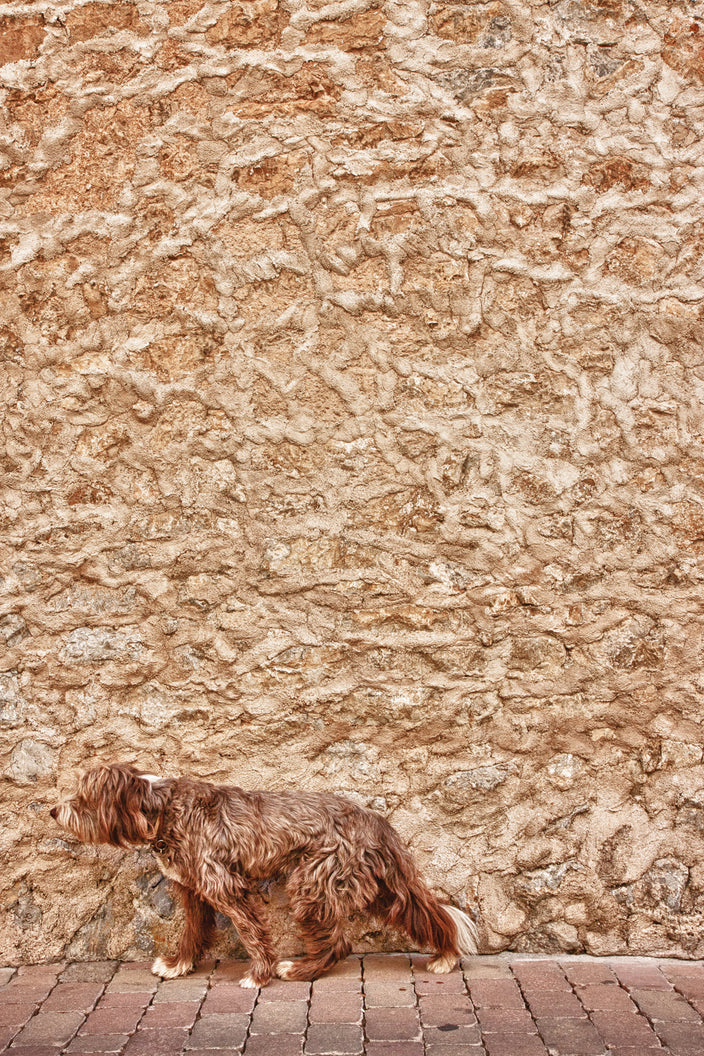 Hubert Wichelmann - On the way