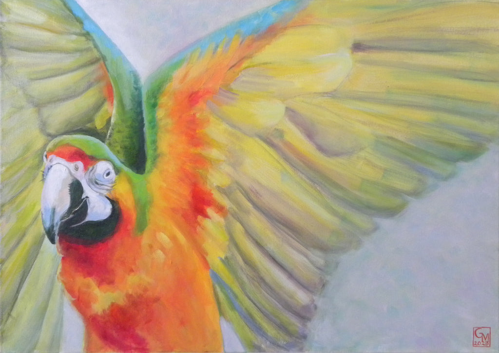 Gabriele Maderböck - Papagei – Die große Freiheit ruft