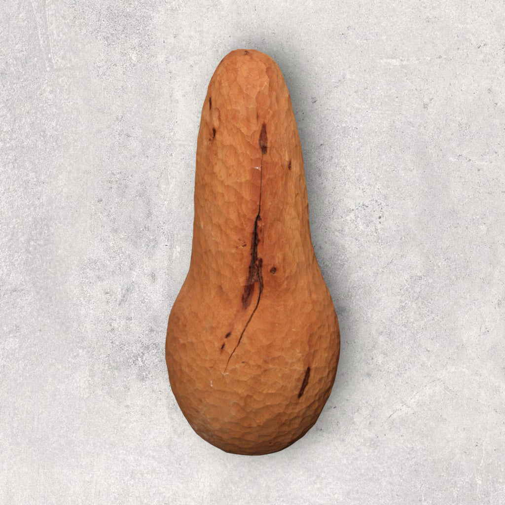 Samuel Schneider - Birnbaum Birne aus Vordemwald AG