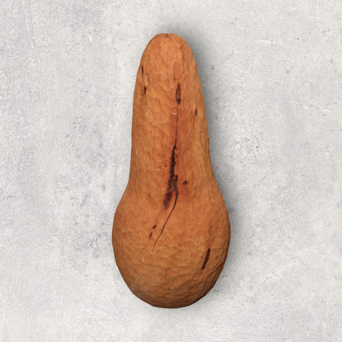 Samuel Schneider - Birnbaum Birne aus Vordemwald AG