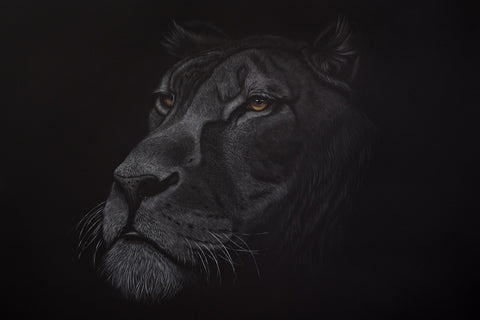 Bernhard Meixner - Queen