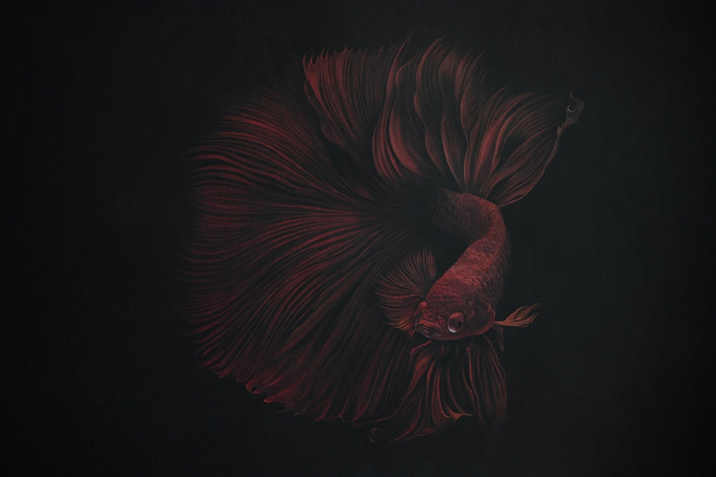 Bernhard Meixner - Red Fish