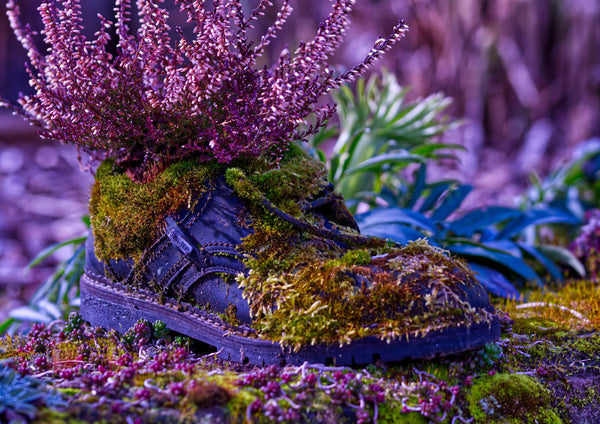 Anika Baumeister - Aus dem Schuh
