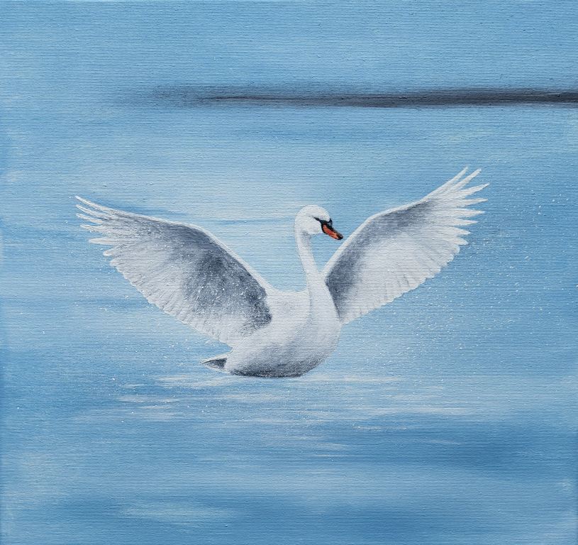 Maren Krause - Schwäne II, III & IV