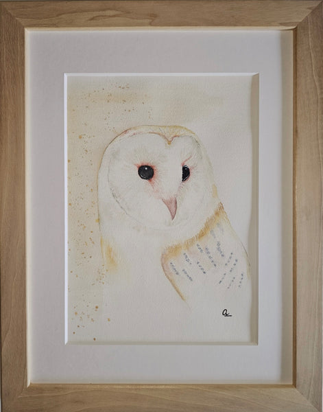 Anika Kaiser - Schleiereule Portrait