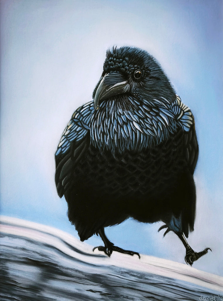 Katrin Prietz - Shadow of Cold