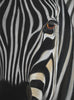 Katrin Prietz - Sunset Stripes