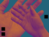 Anna Deppisch-Kreipp - Hands II