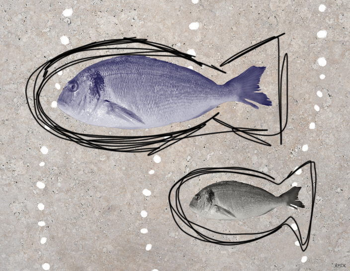 Anna Deppisch-Kreipp - Pescado