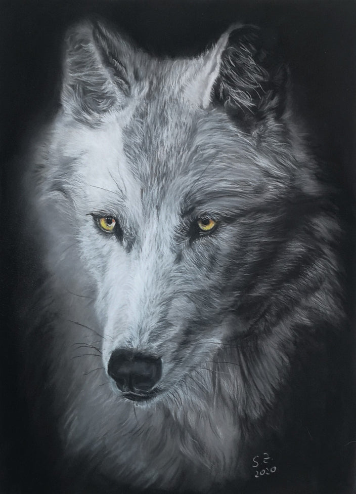 Sabine Zepuntke - Weisser Wolf