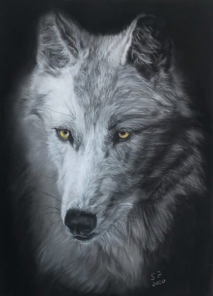 Sabine Zepuntke - Weisser Wolf