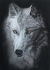 Sabine Zepuntke - Weisser Wolf