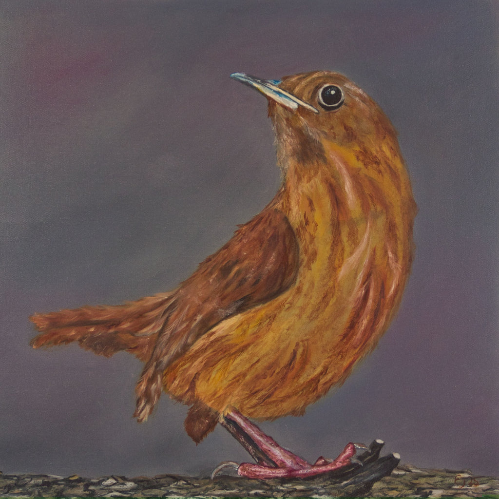 Iris Ernst - Zaunkönig