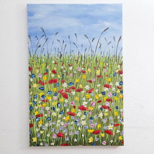 Daniel Tied - Bunte Blumenwiese 3