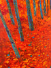 Hanna Afanasieva - Into the Autumn Light