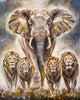 Sabrina Seck - Kings
