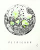 Petty - Petrichor