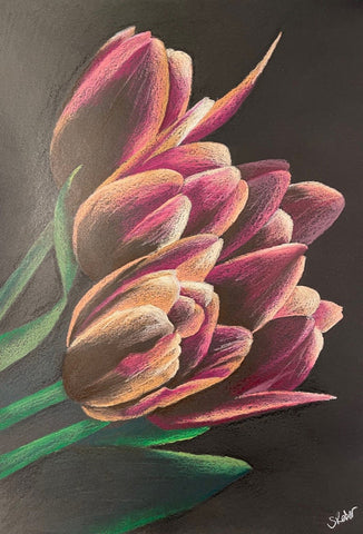 Sylvia Reber - Pink Tulips