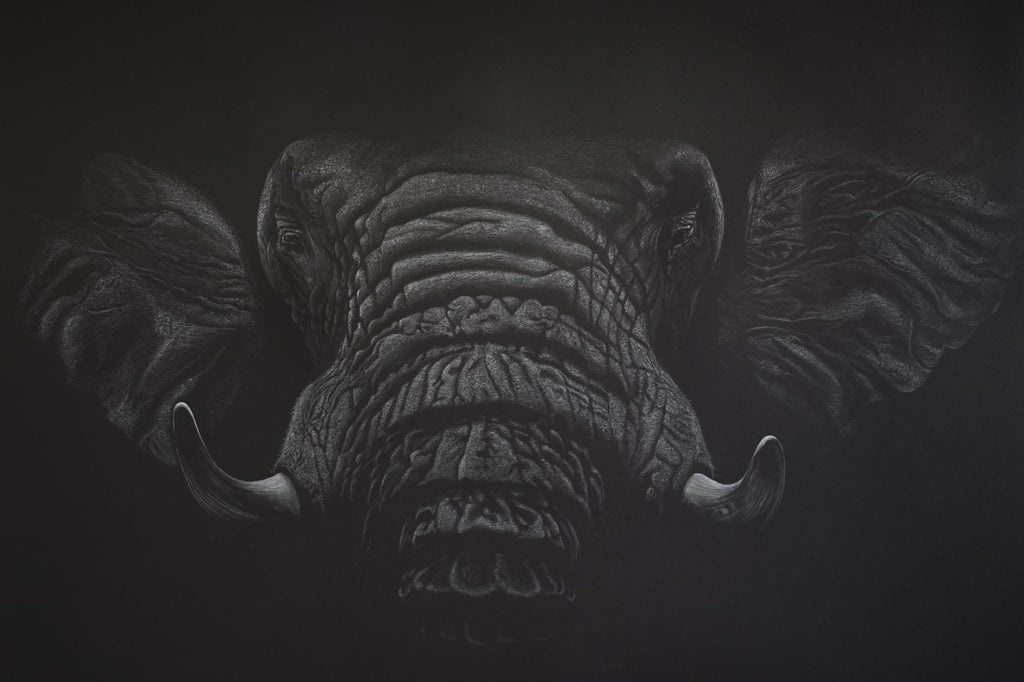 Bernhard Meixner - Silent giant