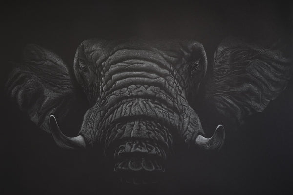 Bernhard Meixner - Silent giant