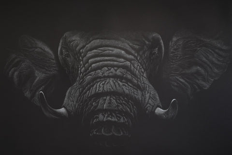 Bernhard Meixner - Silent giant