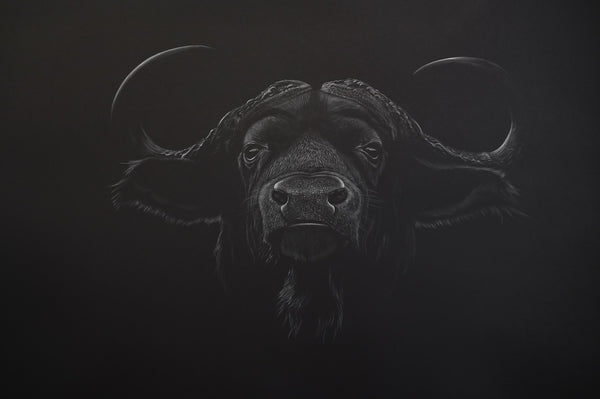 Bernhard Meixner - Water buffalo