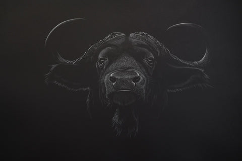 Bernhard Meixner - Water buffalo