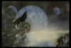 Susanne Lupp - Wolf Poster Kunstdruck - Susanne Lupp, Wohlen, Schweiz Wandbild