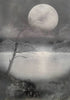 Susanne Lupp - Stille Poster Kunstdruck - Susanne Lupp, Wohlen, Schweiz Wandbild