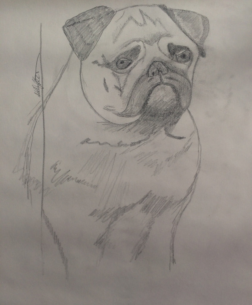 Nelly - Menschenfreund