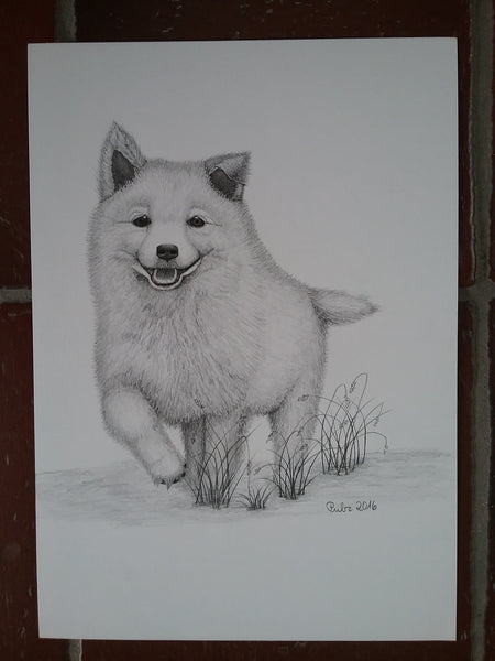 Roswitha Pulz - Spitz, Welpe Poster Kunstdruck - Roswitha Pulz, Runkel, Deutschland Wandbild