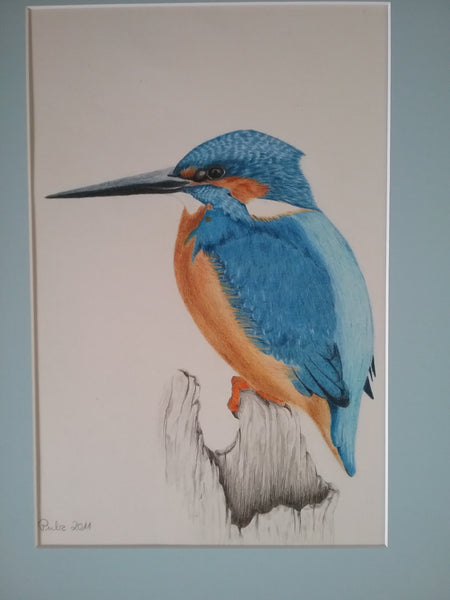 Roswitha Pulz - Eisvogel Poster Kunstdruck - Roswitha Pulz, Runkel, Deutschland Wandbild